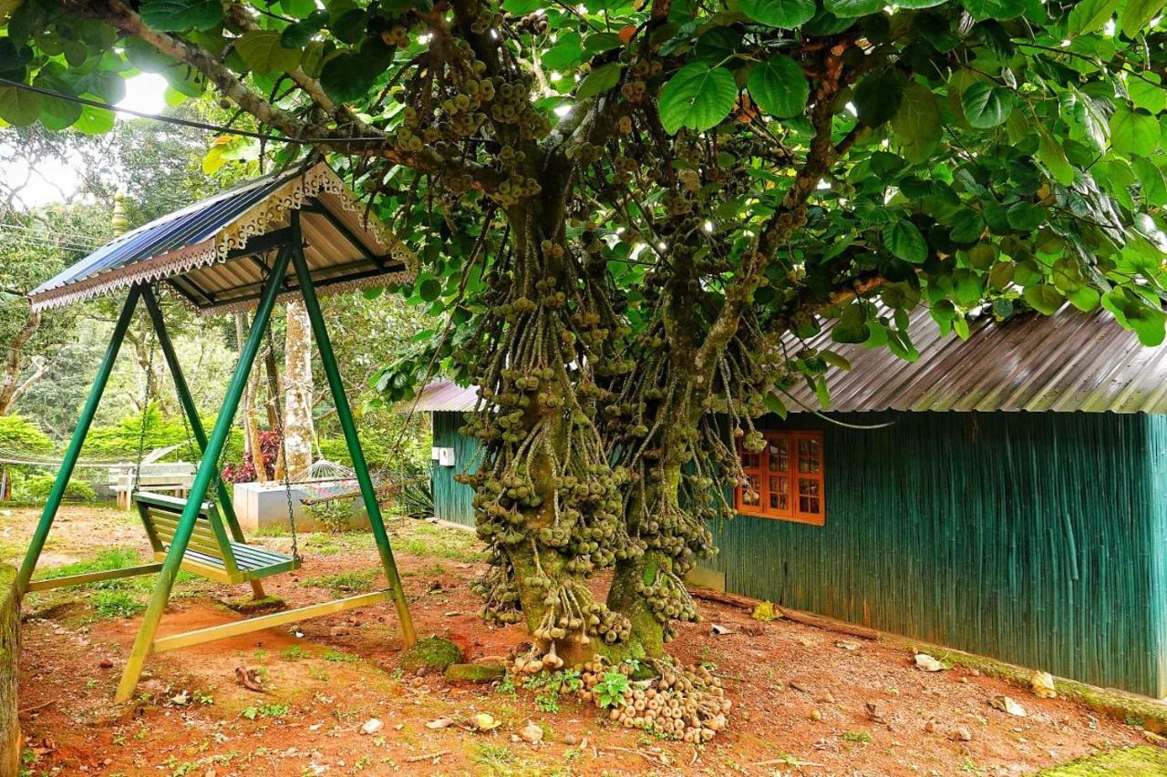 Hill Valley Farm House Nelliyampathy Exterior photo