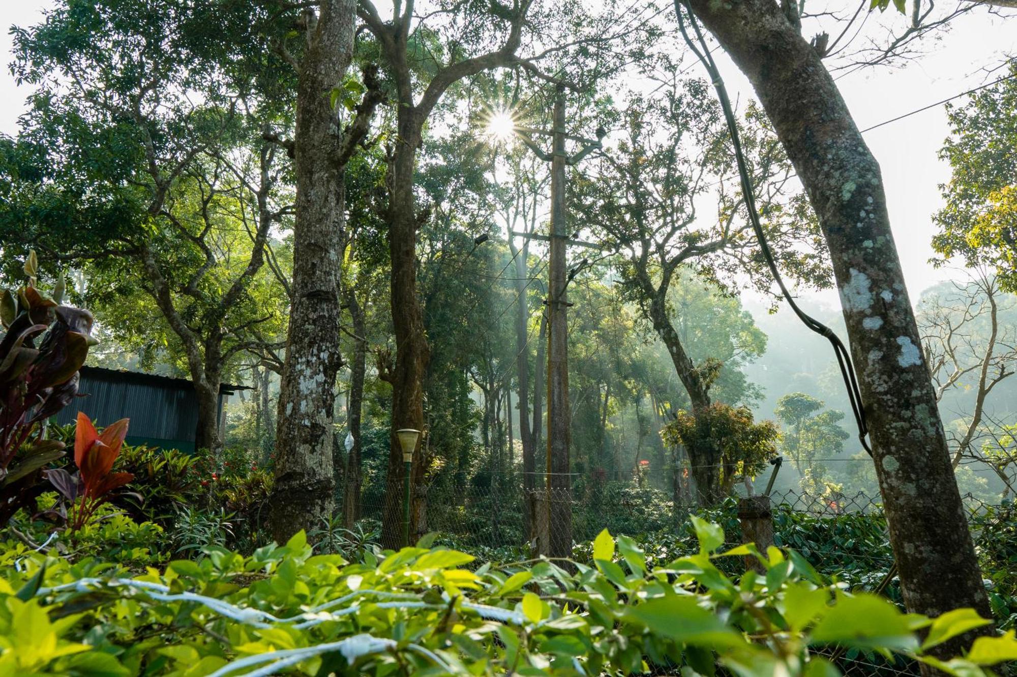 Hill Valley Farm House Nelliyampathy Exterior photo