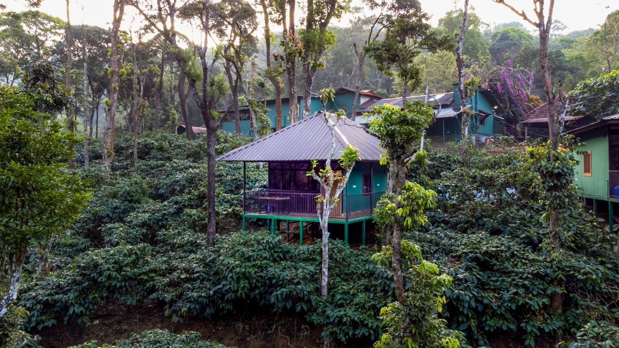 Hill Valley Farm House Nelliyampathy Exterior photo