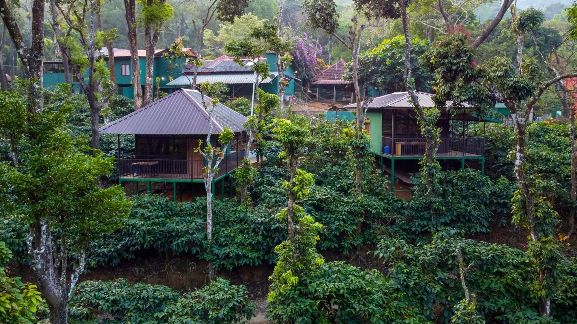 Hill Valley Farm House Nelliyampathy Exterior photo